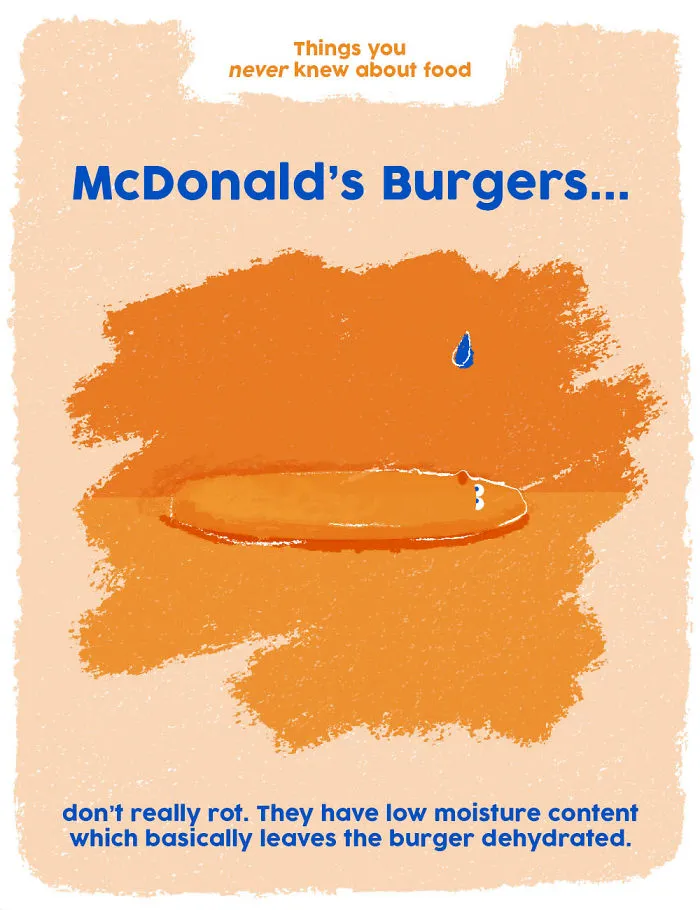 Mcdonald's Burgers Don't Actually Rot!
