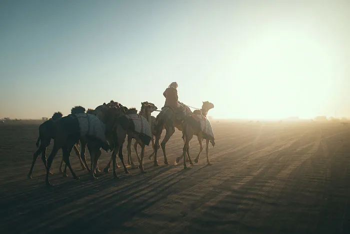 My Photos Will Make You Want To Pack Immediately And Travel To Oman