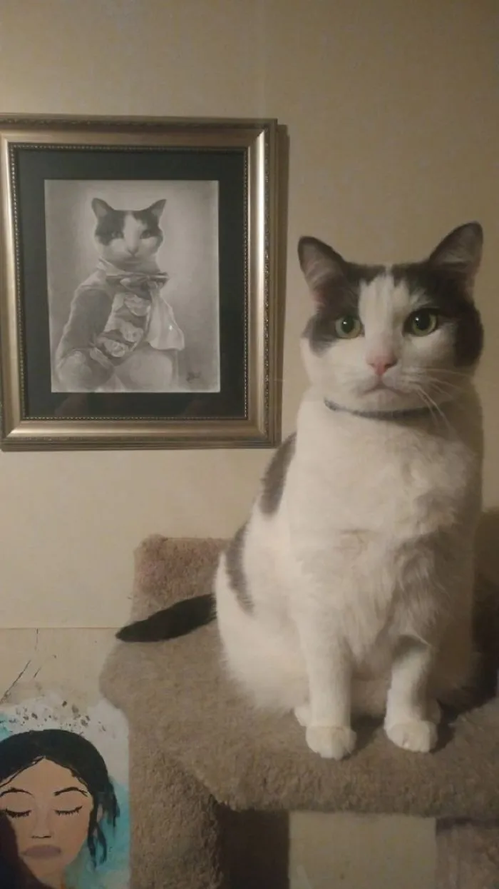 My Boyfriend Commissioned A Very Fancy Portrait Of My Cat For Our Anniversary