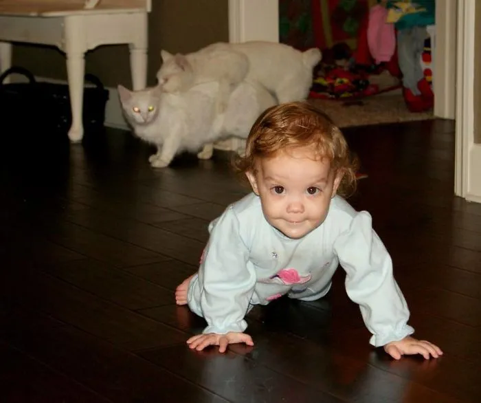 My Wife Was Trying To Get A Cute Picture Of Our Baby Crawling. She Didn’t Notice What Was Going On In The Background
