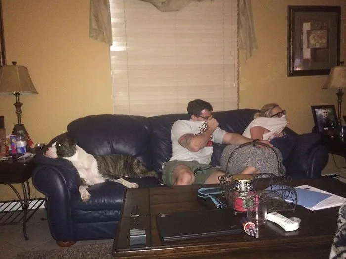 I’ve Been A Nervous Wreck While My Dog’s Been Living At My In-Law’s Since I’ve Been Deployed. I Think He’s Finally Made Himself At Home