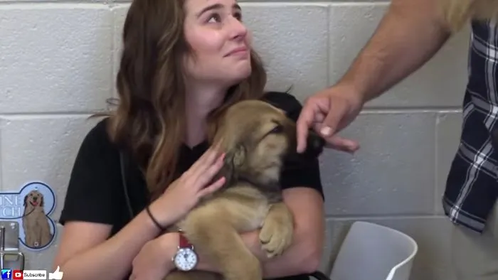These Families Adopted Puppies Before Even Meeting Them Then The Heartwarming Moment Arrived