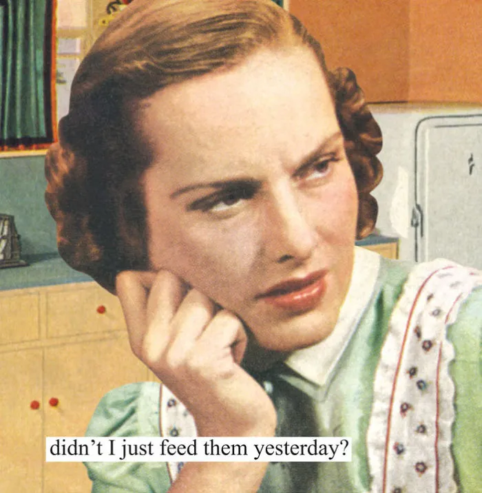 102 Hilariously Sarcastic Retro Pics That Only Women Will Truly Understand
