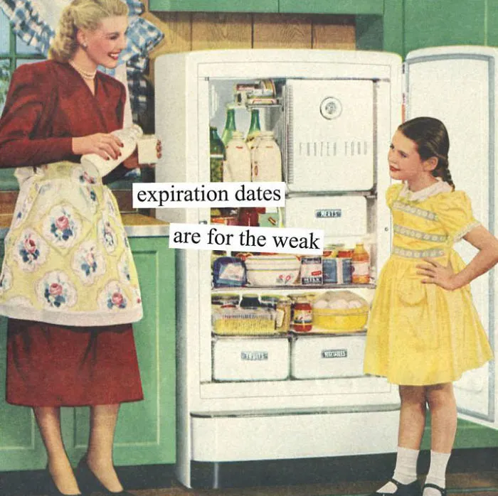102 Hilariously Sarcastic Retro Pics That Only Women Will Truly Understand