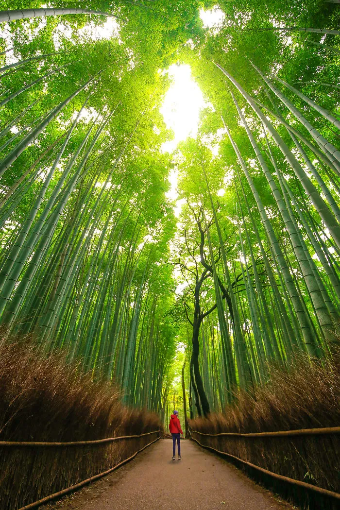 Kyoto, Japan