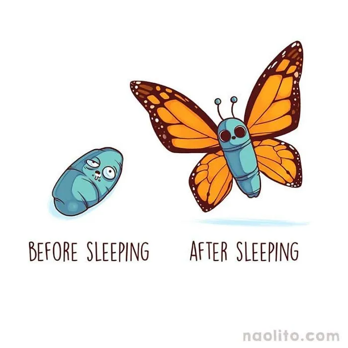 21 Hilariously Relatable Before & After Illustrations By Spanish Artist Nacho Diaz