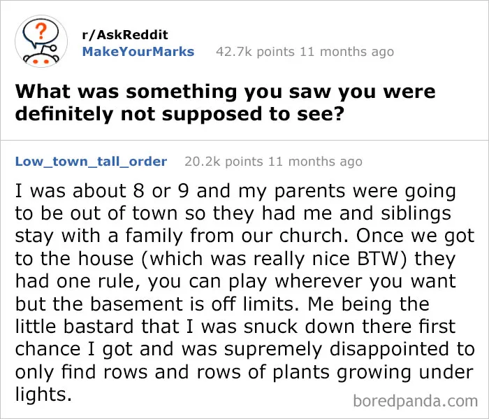50 Times People Had The Best Answers To Questions On Reddit