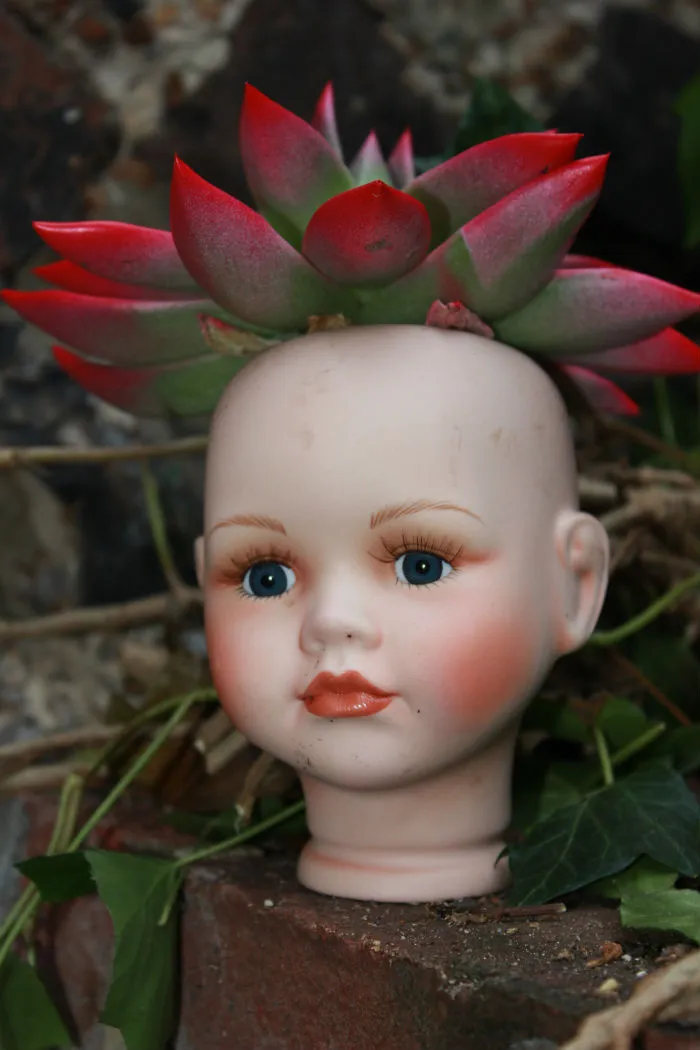 145 People Who Turned Old Dolls Into Planters And Scared The Hell Out Of Their Neighbors