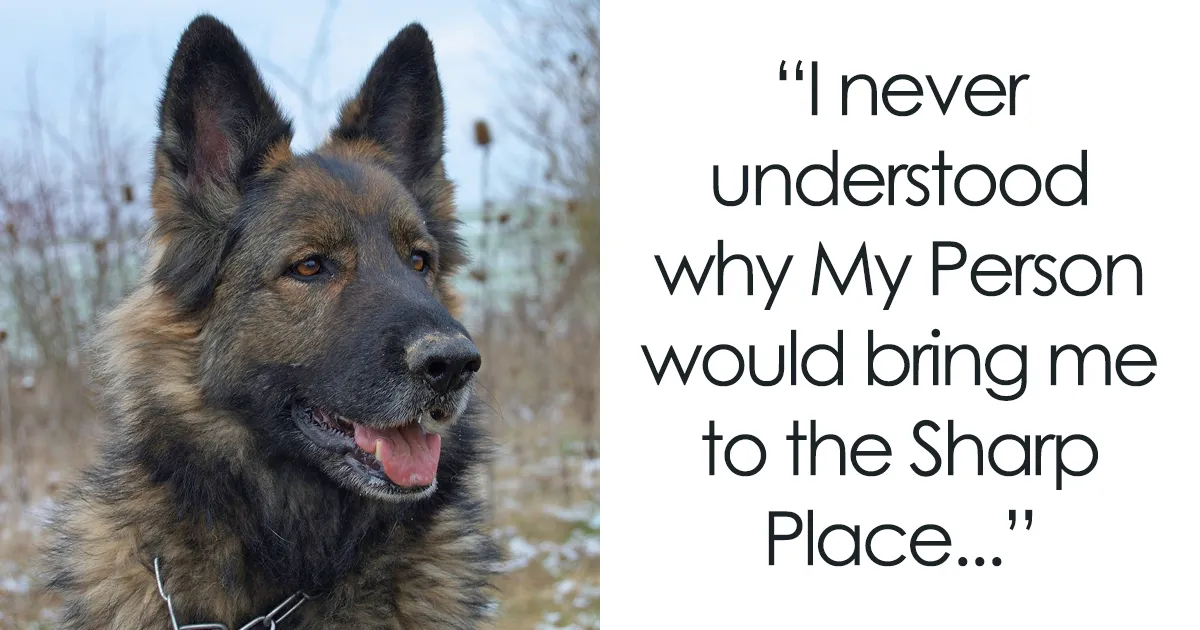 This Person Responded To A Writing Challenge, And Wrote A Story That Had Everyone Crying