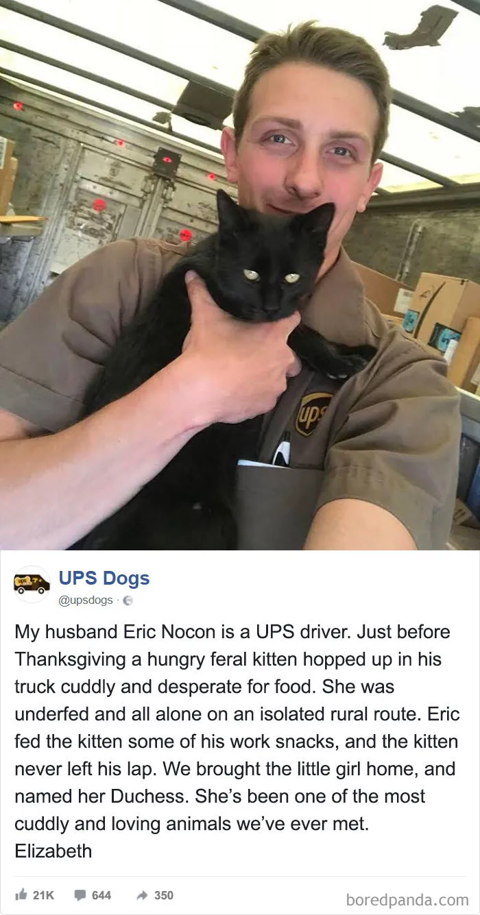 UPS Drivers Capture The Most Interesting Photos On Their Routes, And We Can't Get Enough