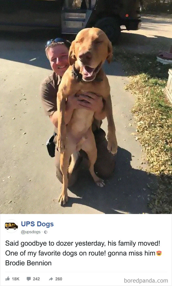 Ayer le dije adiós a Dozer, su familia se muda. Uno de mis perros favoritos de la ruta
