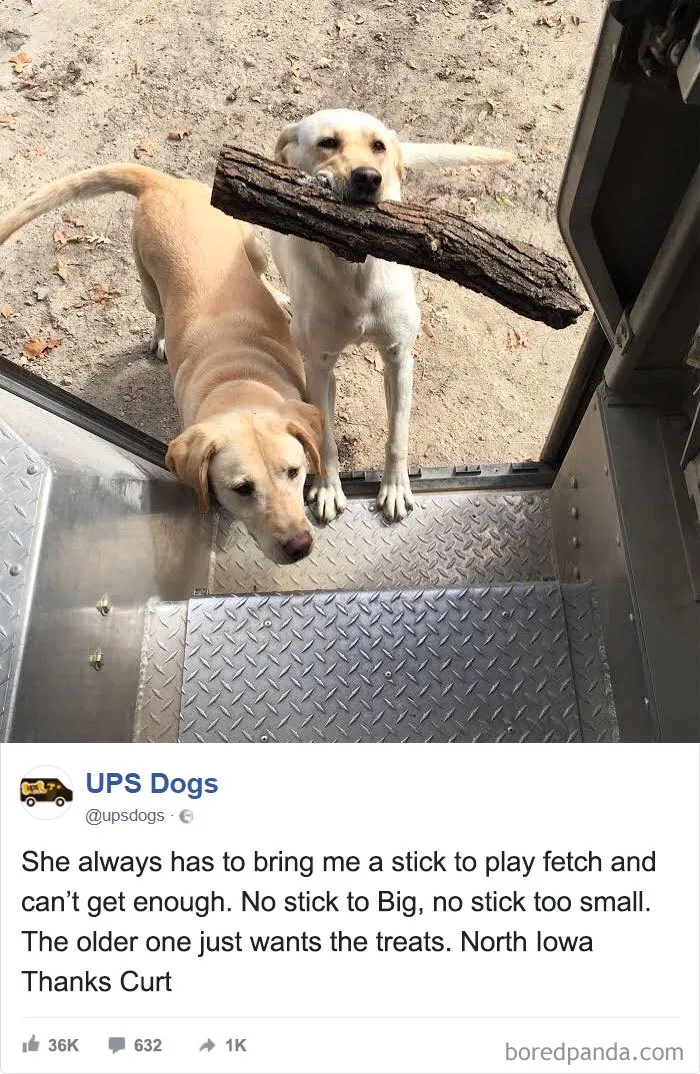 UPS Drivers Capture The Most Interesting Photos On Their Routes, And We Can't Get Enough