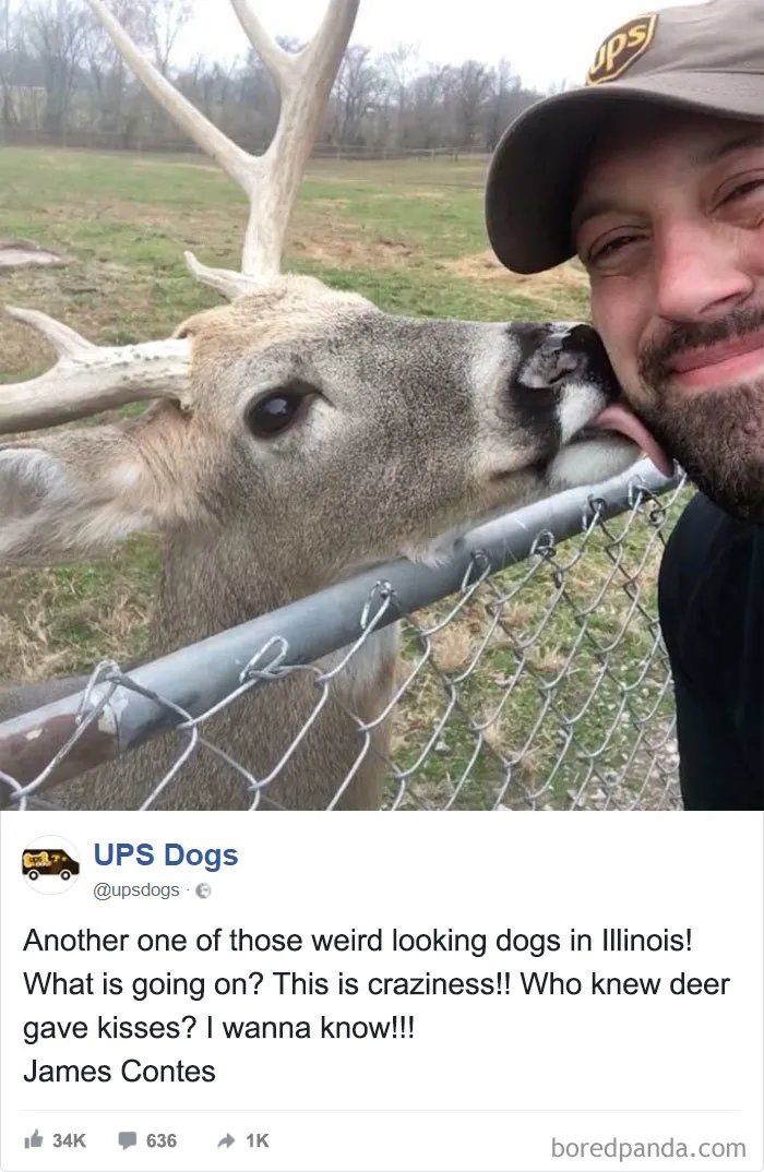 UPS Drivers Capture The Most Interesting Photos On Their Routes, And We Can't Get Enough