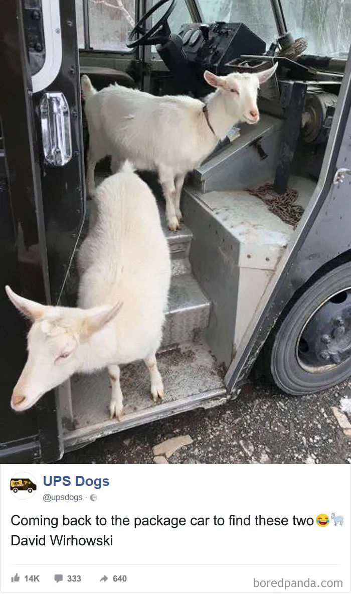 De vuelta al camión y me encuentro a estas dos