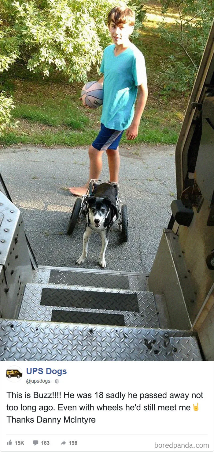 UPS Drivers Capture The Most Interesting Photos On Their Routes, And We Can't Get Enough