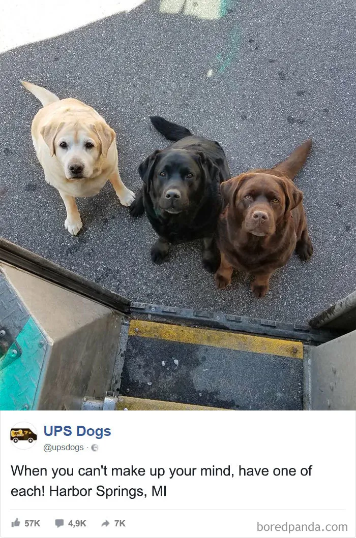 UPS Drivers Capture The Most Interesting Photos On Their Routes, And We Can't Get Enough