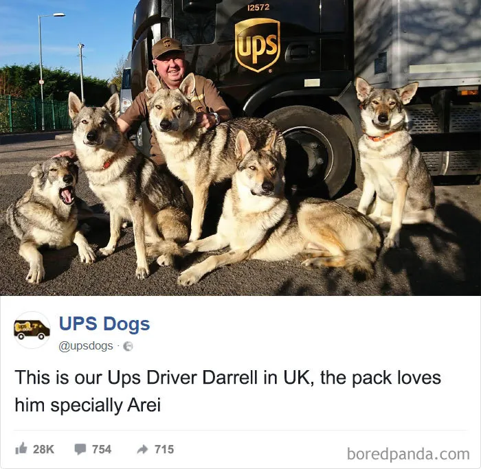 UPS Drivers Capture The Most Interesting Photos On Their Routes, And We Can't Get Enough