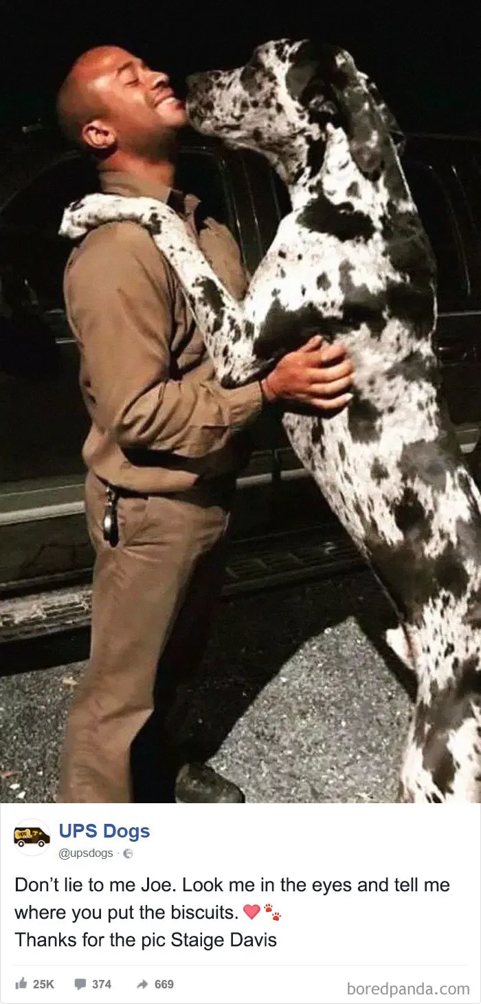 UPS Drivers Capture The Most Interesting Photos On Their Routes, And We Can't Get Enough