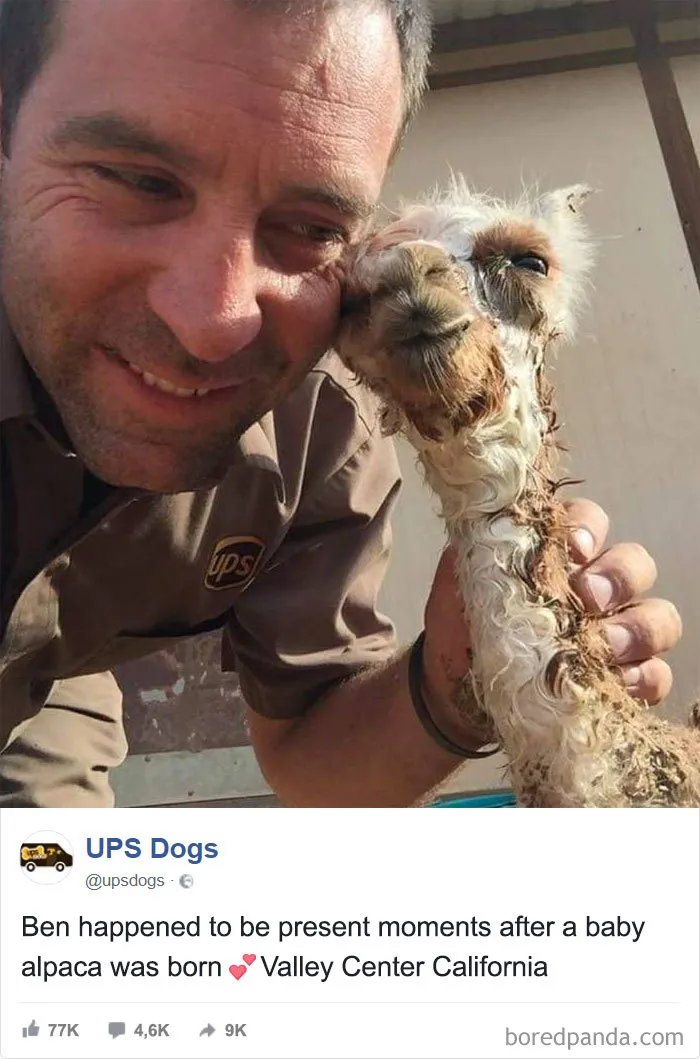 UPS Drivers Capture The Most Interesting Photos On Their Routes, And We Can't Get Enough