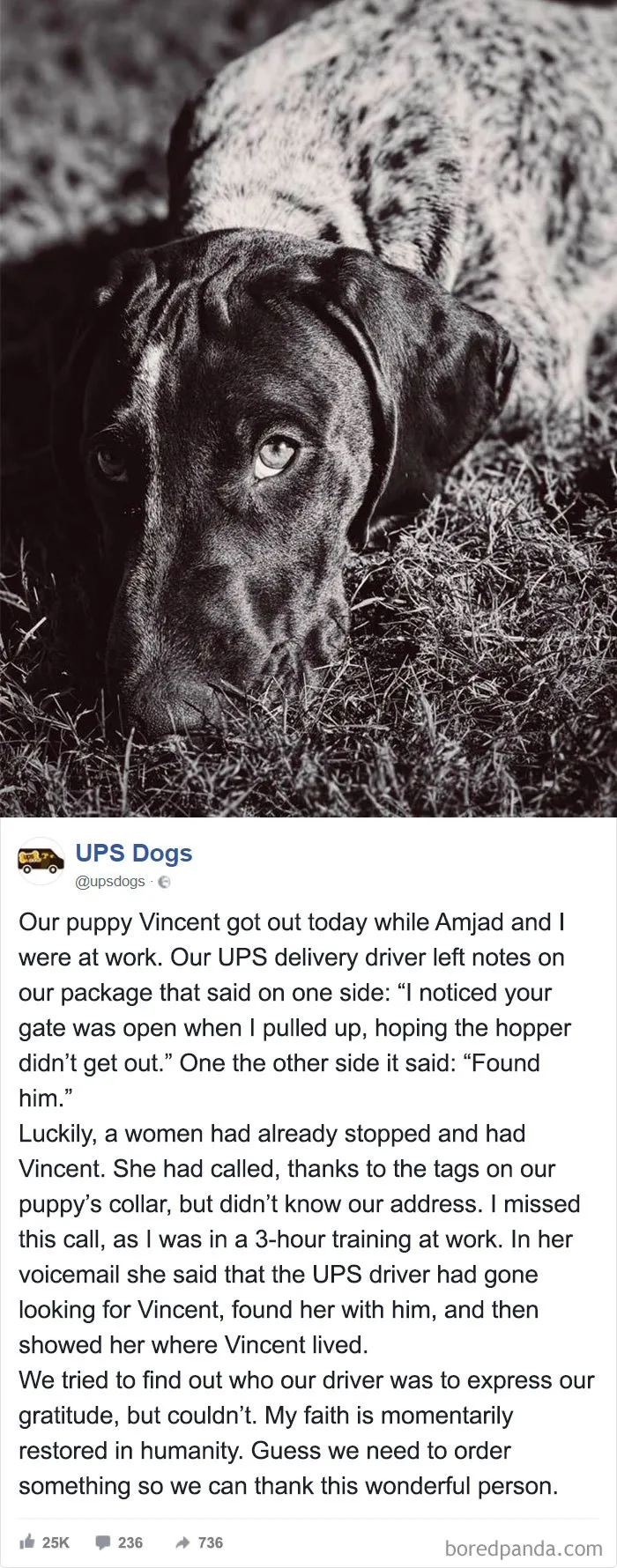 UPS Drivers Capture The Most Interesting Photos On Their Routes, And We Can't Get Enough