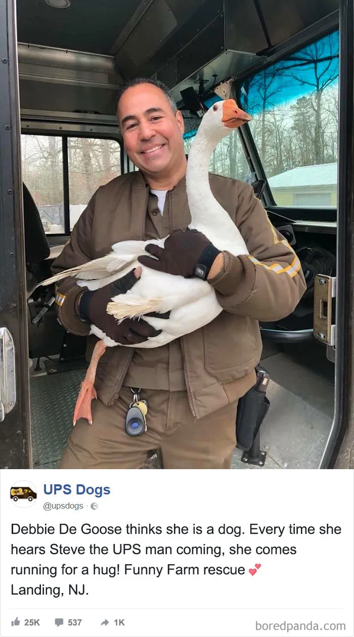 UPS Drivers Capture The Most Interesting Photos On Their Routes, And We Can't Get Enough