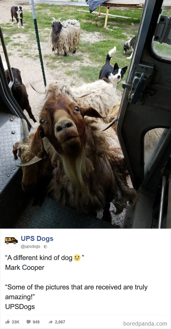 UPS Drivers Capture The Most Interesting Photos On Their Routes, And We Can't Get Enough