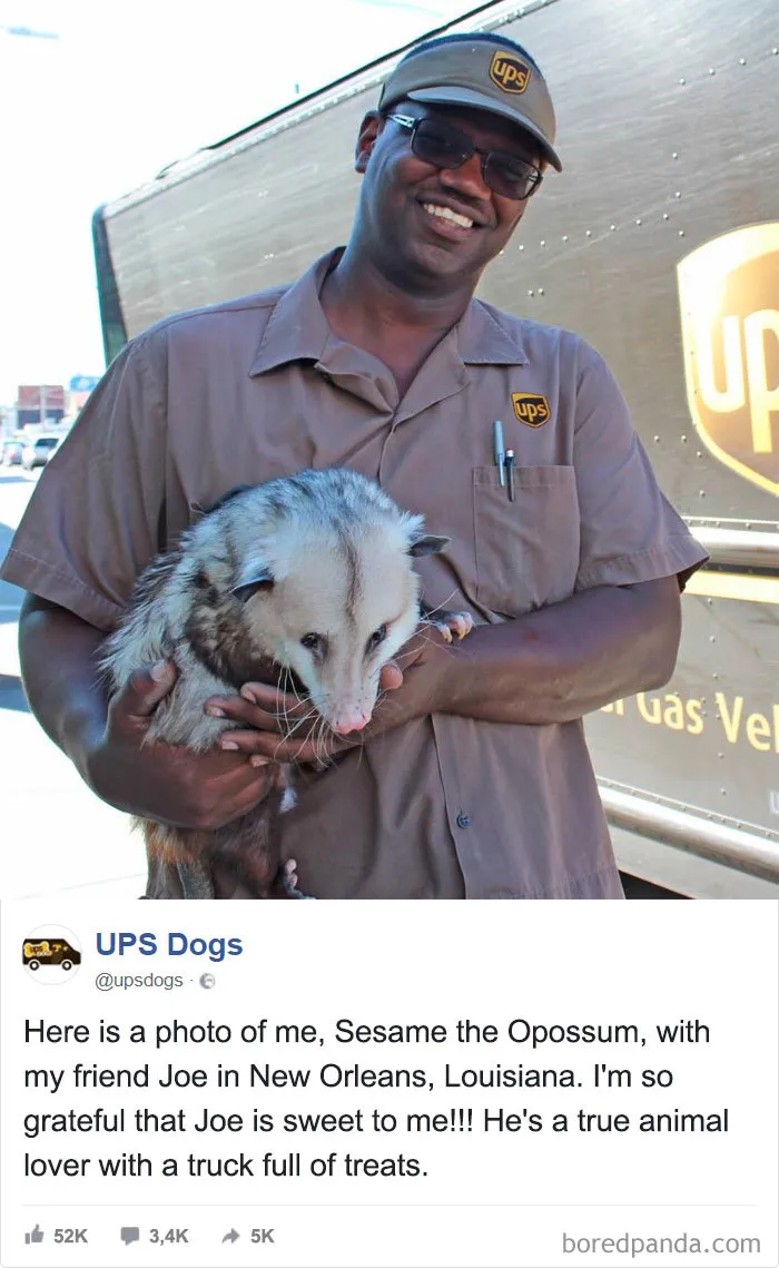 UPS Drivers Capture The Most Interesting Photos On Their Routes, And We Can't Get Enough