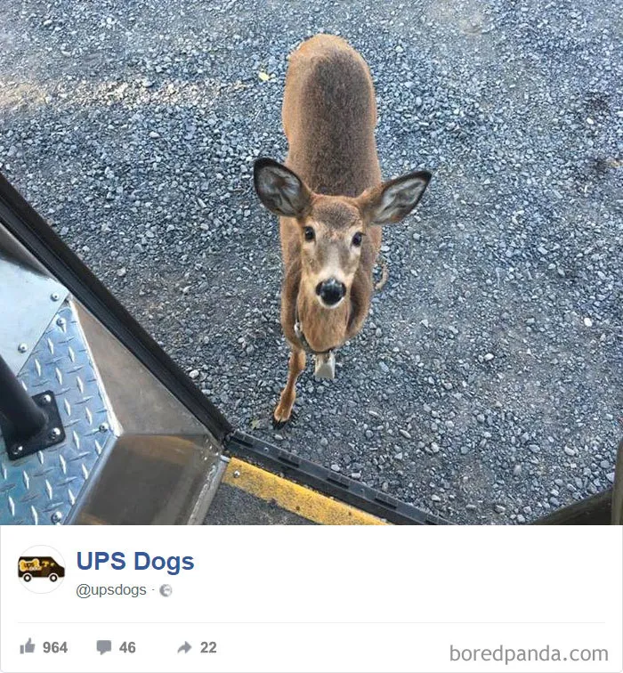 UPS Drivers Capture The Most Interesting Photos On Their Routes, And We Can't Get Enough