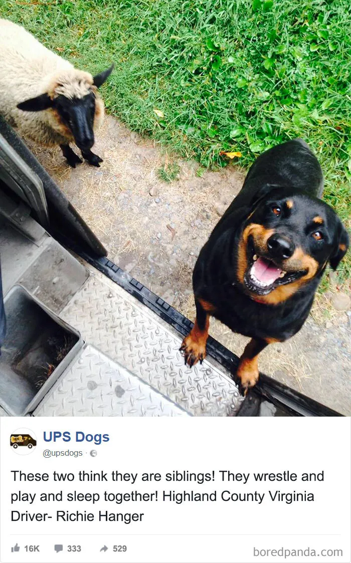 UPS Drivers Capture The Most Interesting Photos On Their Routes, And We Can't Get Enough