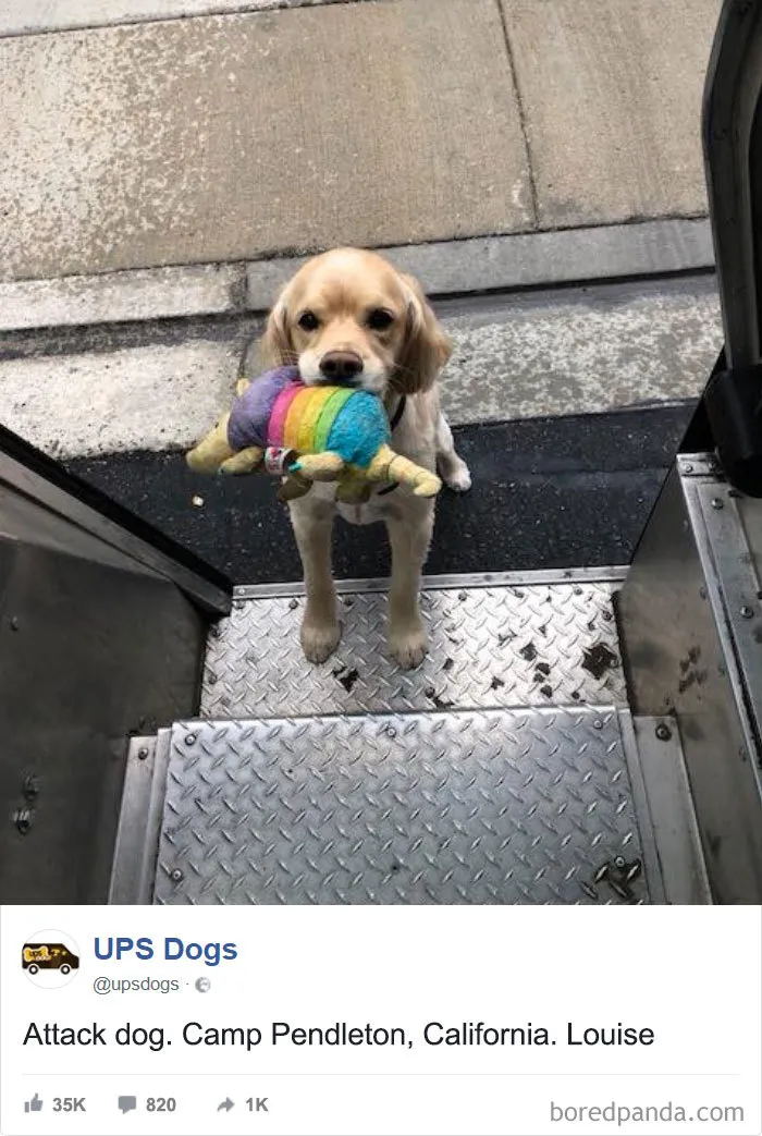UPS Drivers Capture The Most Interesting Photos On Their Routes, And We Can't Get Enough