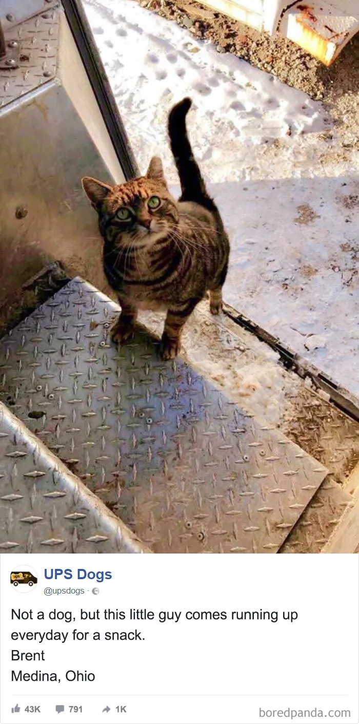 UPS Drivers Capture The Most Interesting Photos On Their Routes, And We Can't Get Enough