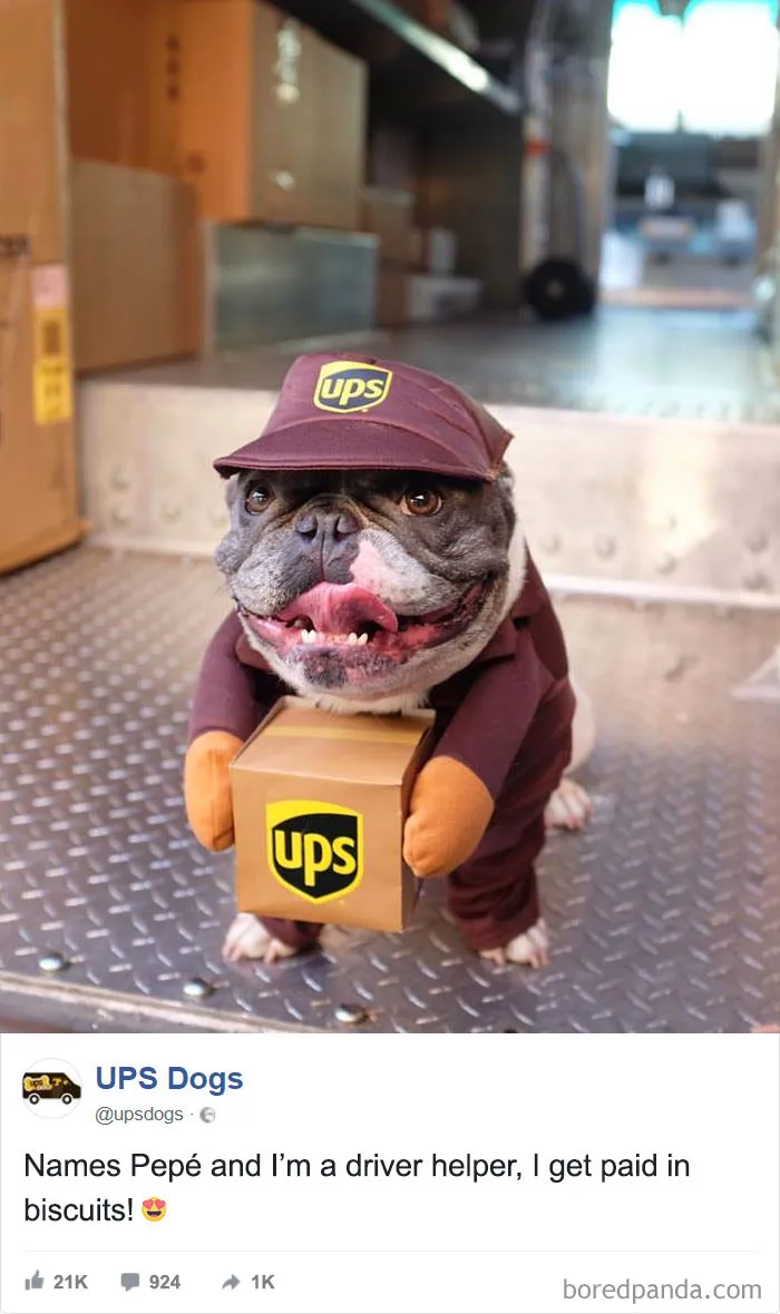 UPS Drivers Capture The Most Interesting Photos On Their Routes, And We Can't Get Enough