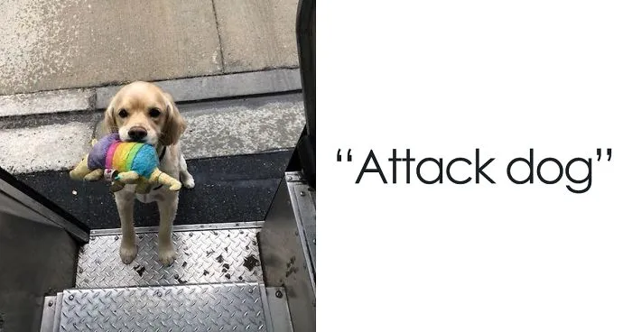 UPS Drivers Capture The Most Interesting Photos On Their Routes, And We Can't Get Enough