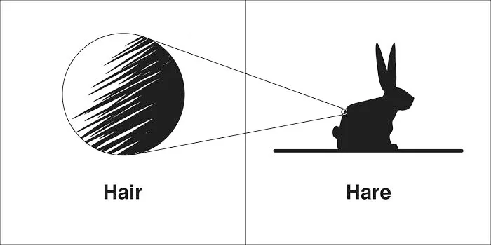 40 Clever Illustrations Of 'Same' Words That You Probably Confuse Way Too Often