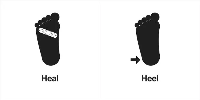 40 Clever Illustrations Of 'Same' Words That You Probably Confuse Way Too Often