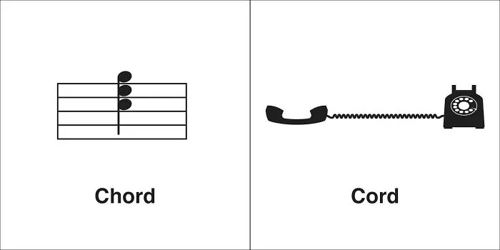 40 Clever Illustrations Of 'Same' Words That You Probably Confuse Way Too Often