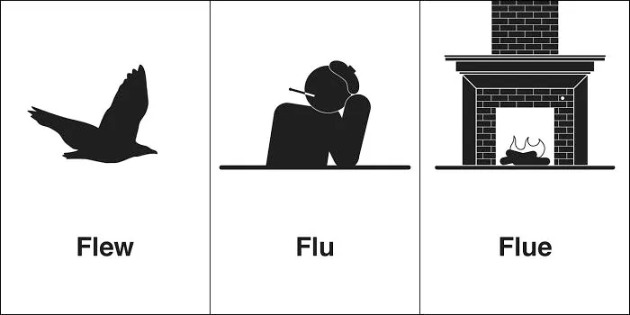 40 Clever Illustrations Of 'Same' Words That You Probably Confuse Way Too Often