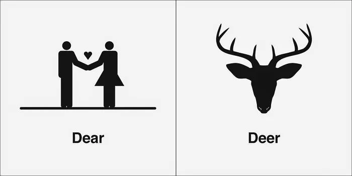 40 Clever Illustrations Of 'Same' Words That You Probably Confuse Way Too Often