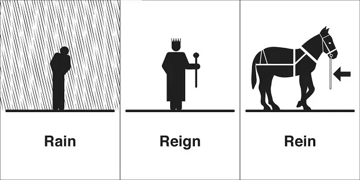 40 Clever Illustrations Of 'Same' Words That You Probably Confuse Way Too Often