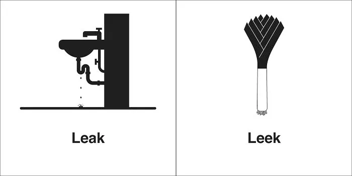 40 Clever Illustrations Of 'Same' Words That You Probably Confuse Way Too Often