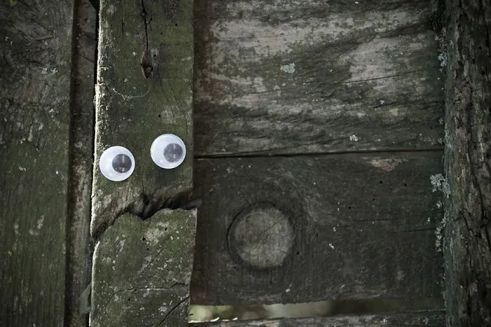 I Bring Bulgarian Streets To Life By Putting Googly Eyes On Random Objects