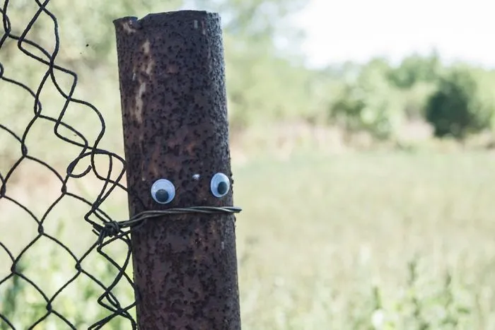 I Bring Bulgarian Streets To Life By Putting Googly Eyes On Random Objects