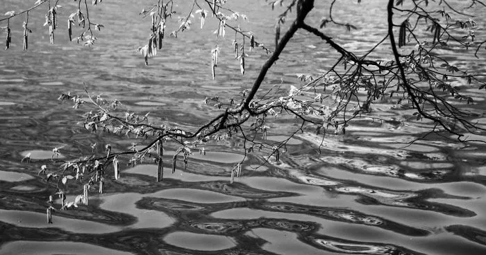 Plitvice Lakes In Black And White
