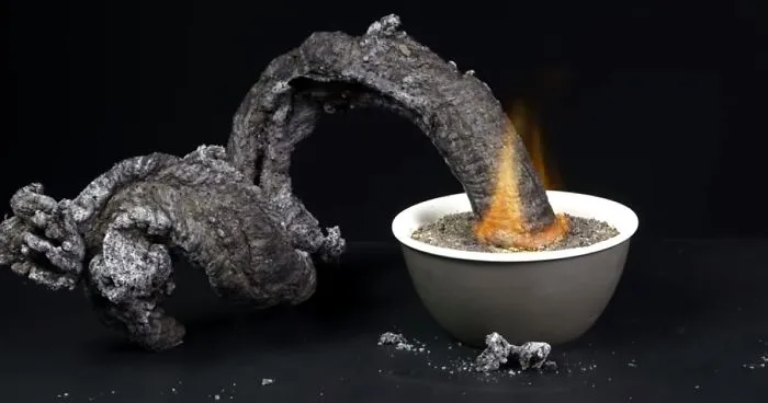 How To Make A Fire Snake With Just Sugar And Baking Soda