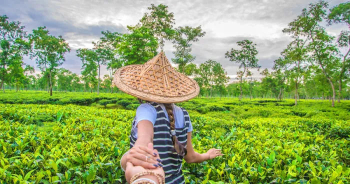 Follow Me To Bangladesh