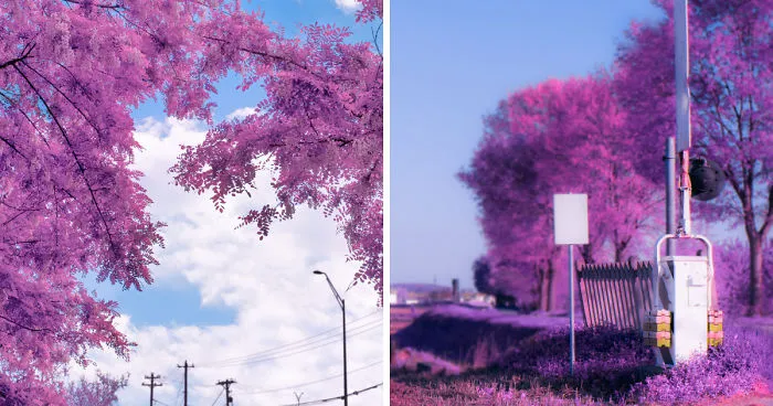 I Shoot Photos Inspired By Japanese Anime