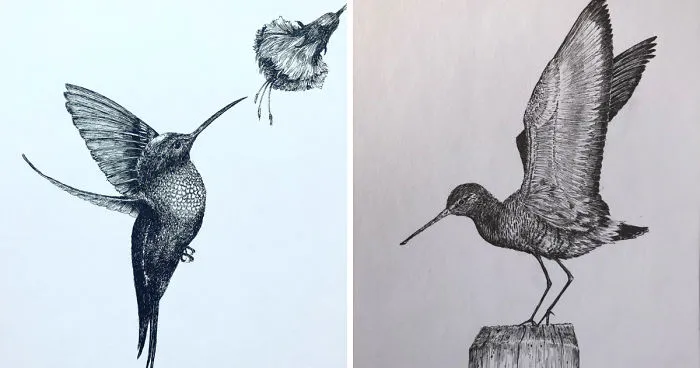 I Create Pen And Ink Drawings