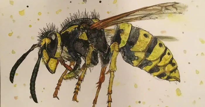 I Started Practicing With Watercolor Paints And Produced These Illustrations