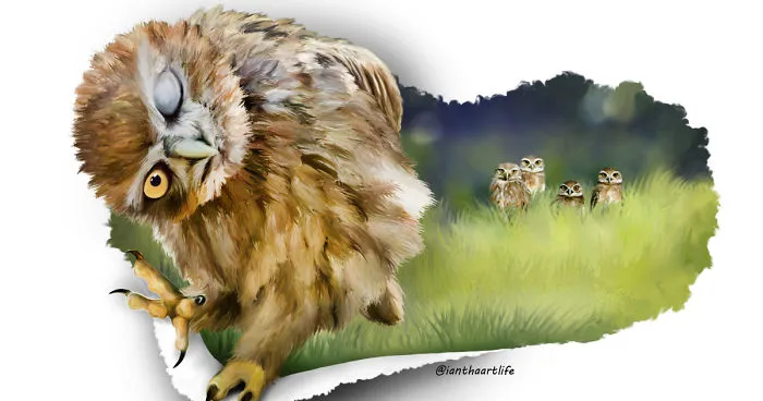 9 Illustrations Of Animals With Funny Expressions
