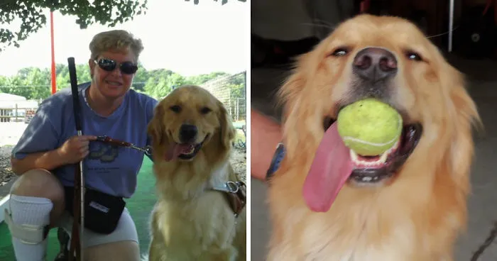 Blind Woman Sees Her Guide Dog For The First Time In 8 Years, And Her Reaction Will Make You Cry